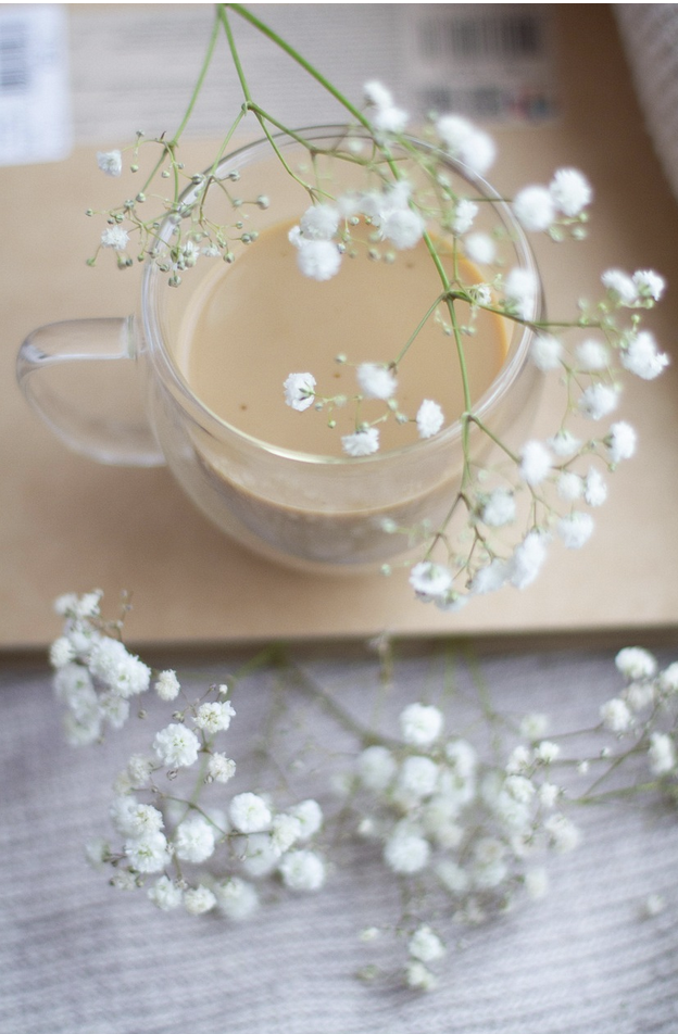 Магия, остановленная во времени – полное руководство по засушиванию гипсофилы