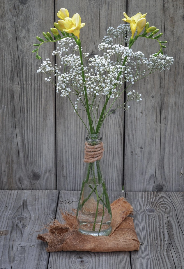 Воздушная тишина – как гипсофила стала главным цветком эпохи минимализма