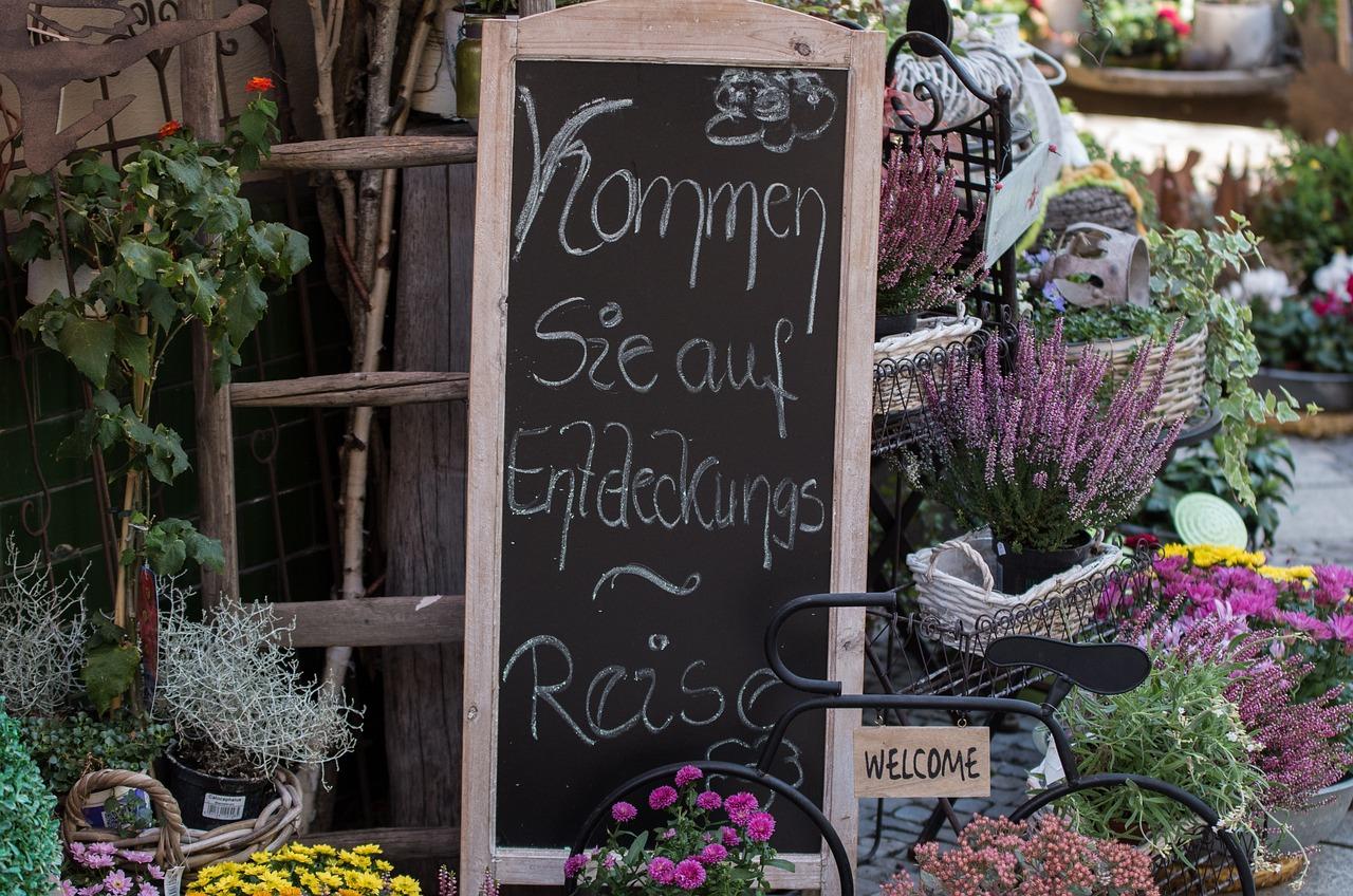 Интерьерная флористика: как цветы задают стиль и создают уют