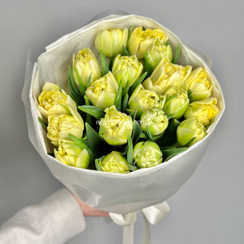 Лимонные пионовидные тюльпаны, 19 шт