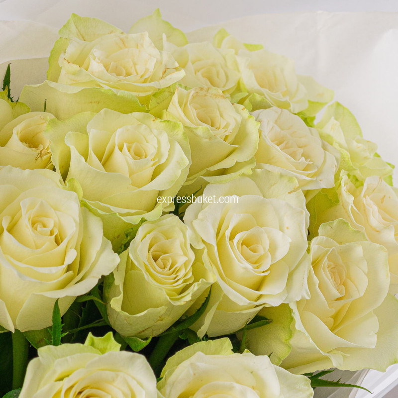 Букет из 15 белых роз 40 см