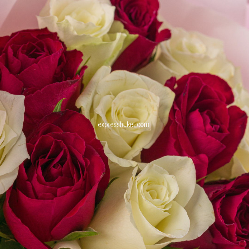 До мурашек 11 роз