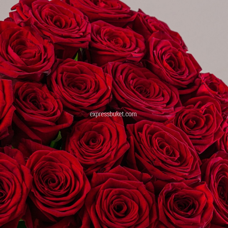 Букет из 25 красных роз 70см 