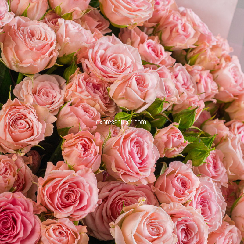 35 кустовых роз